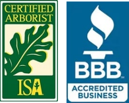 Arborist-BBB-logos-footer